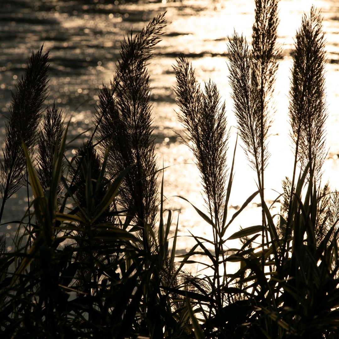 知识进入脑子里