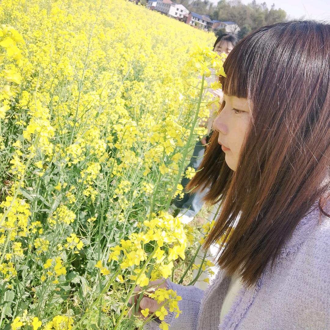 ____飞