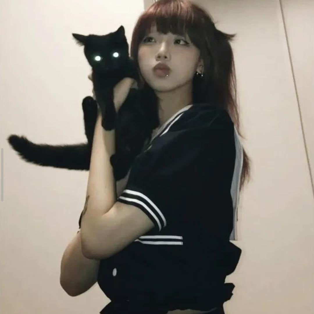 小猫岛