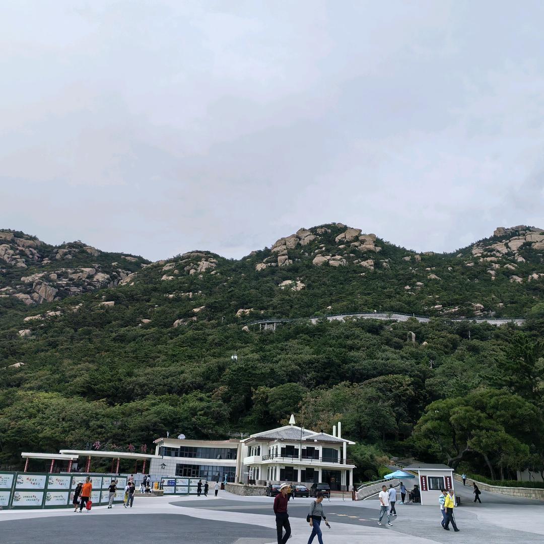 任性中的任性