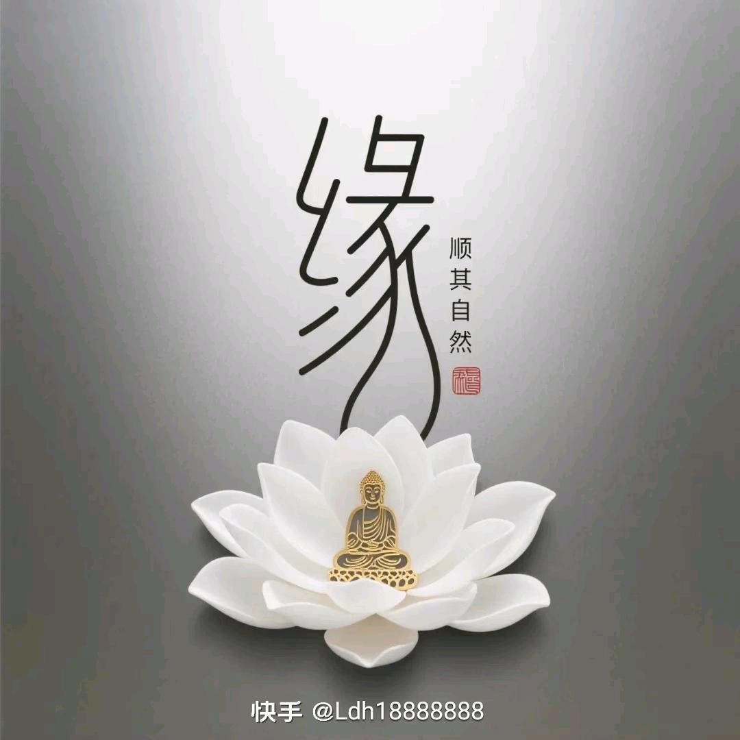 上善若水，结善缘