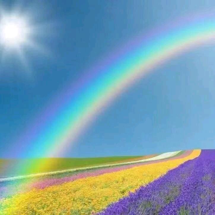 北京鼎丰创维科贸中心