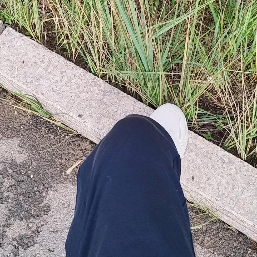 多才多金。