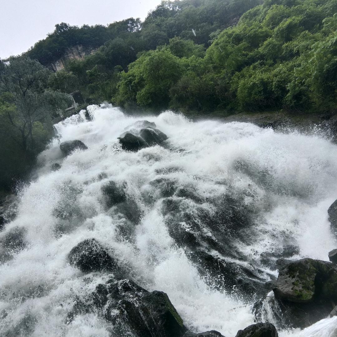 你以后就是我最爱的薇薇