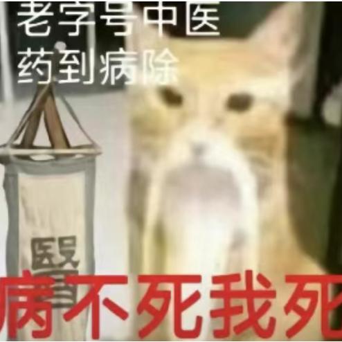 波波波波波力海苔