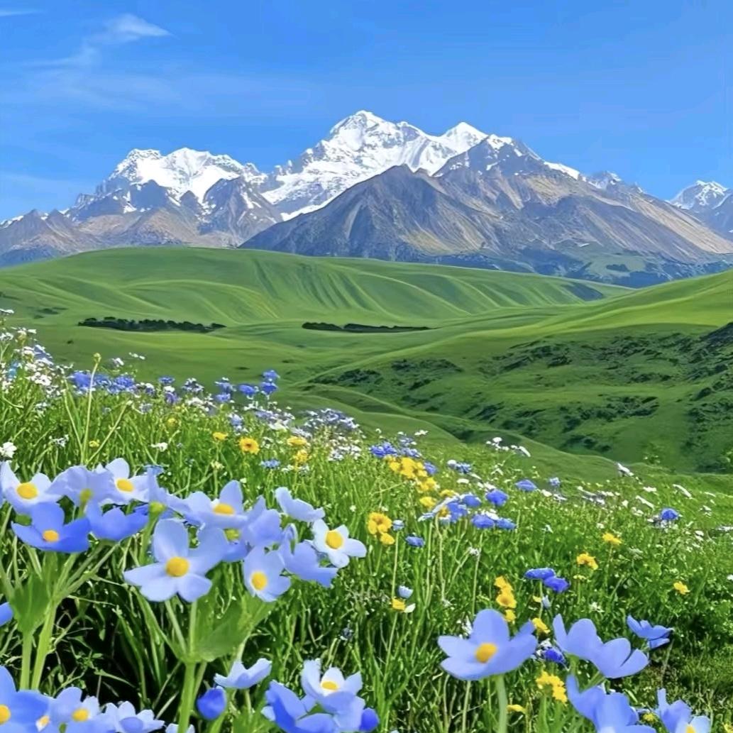 福慧堂手工折纸，免费教学