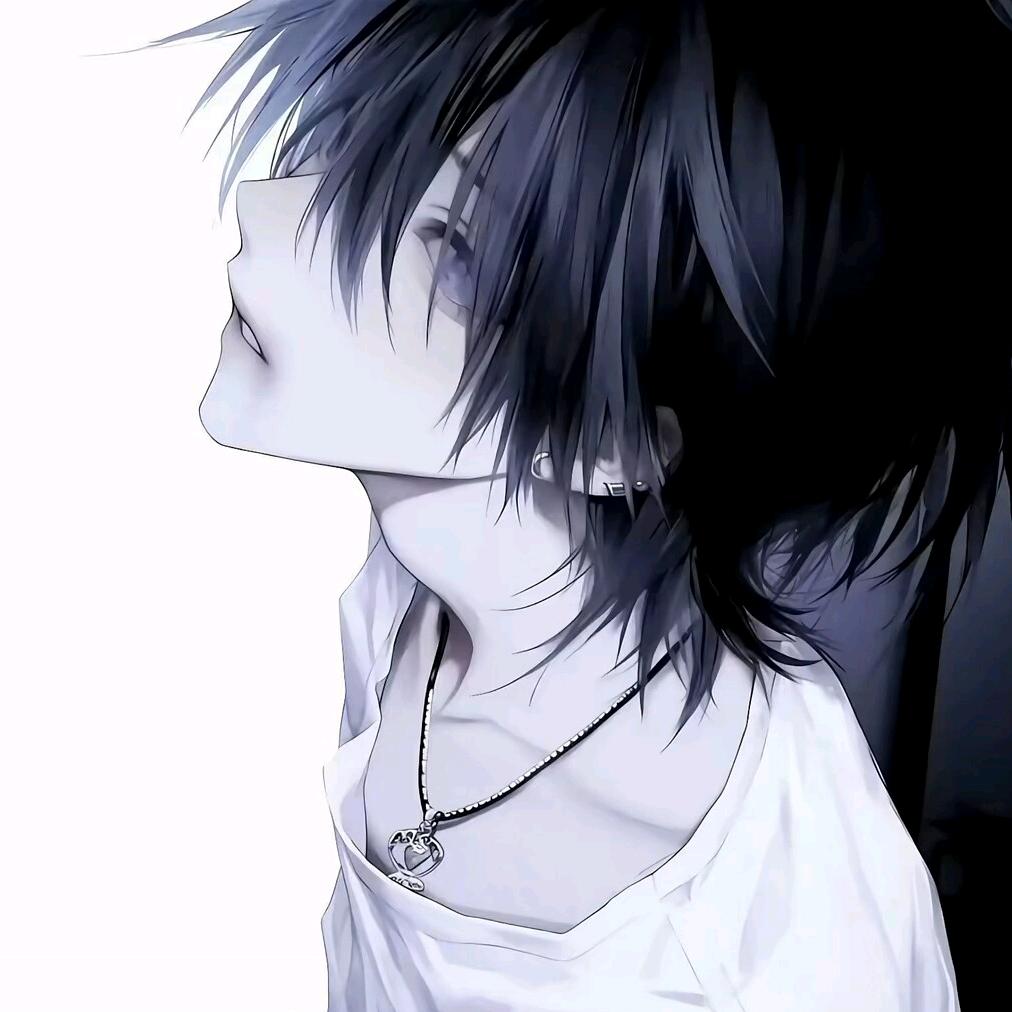 小韩ᖰ•᎔•₎ᖳ