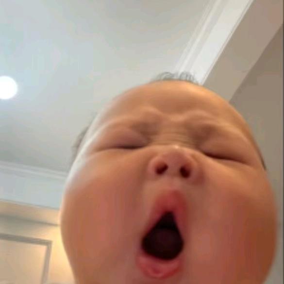 鹅鹅鹅