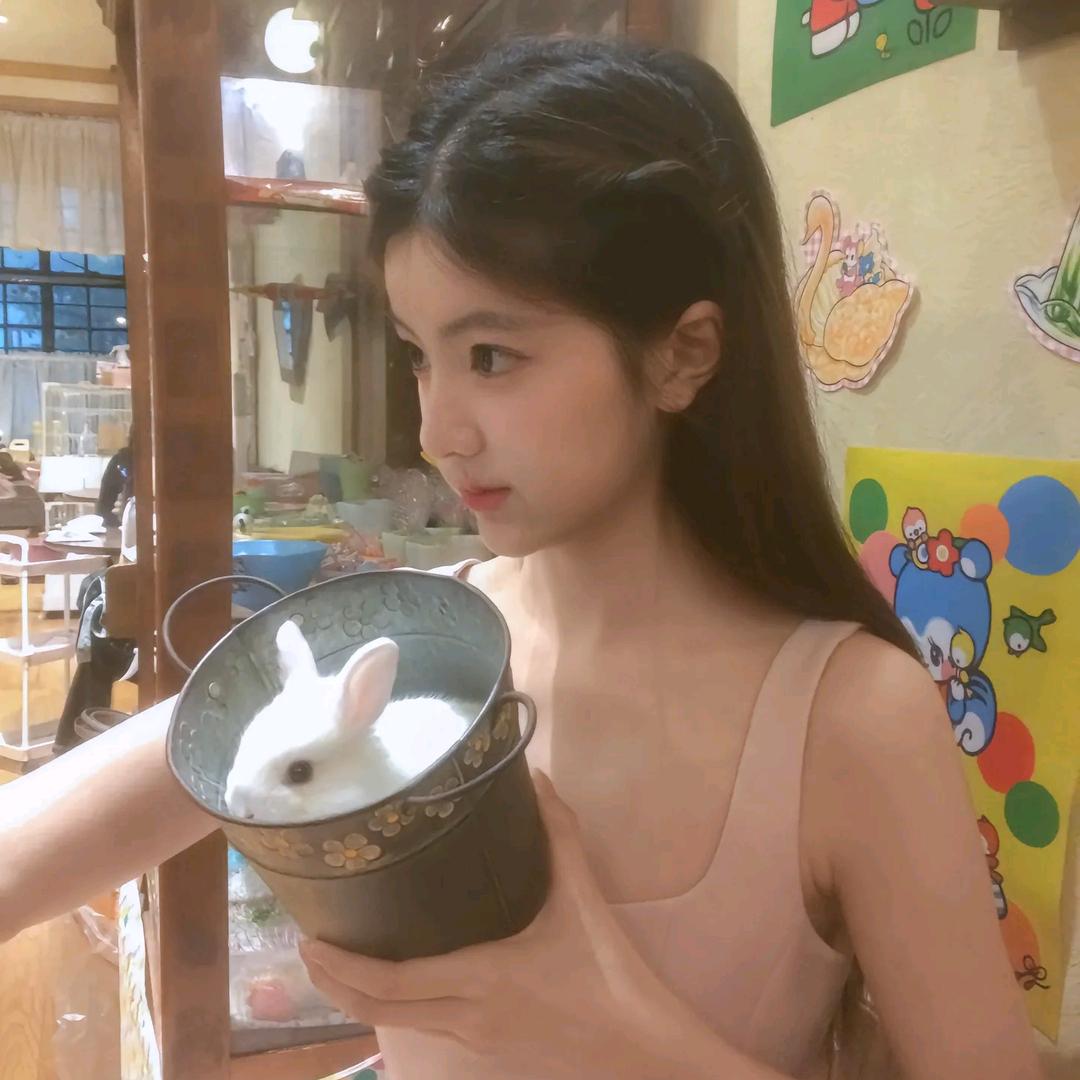 树莓熊