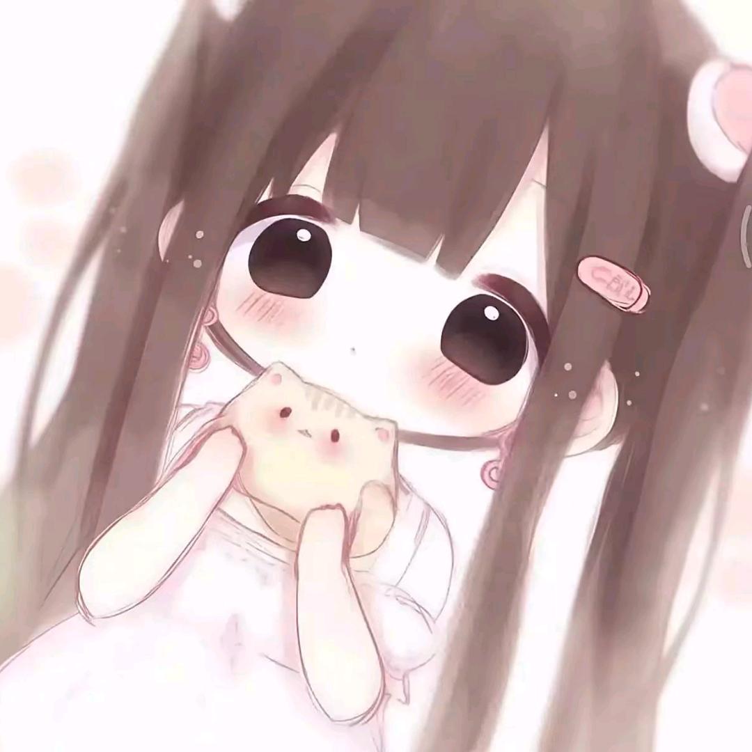 屿桉