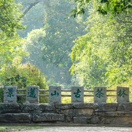 云南生活:云南茶事，云南农事，云南花事