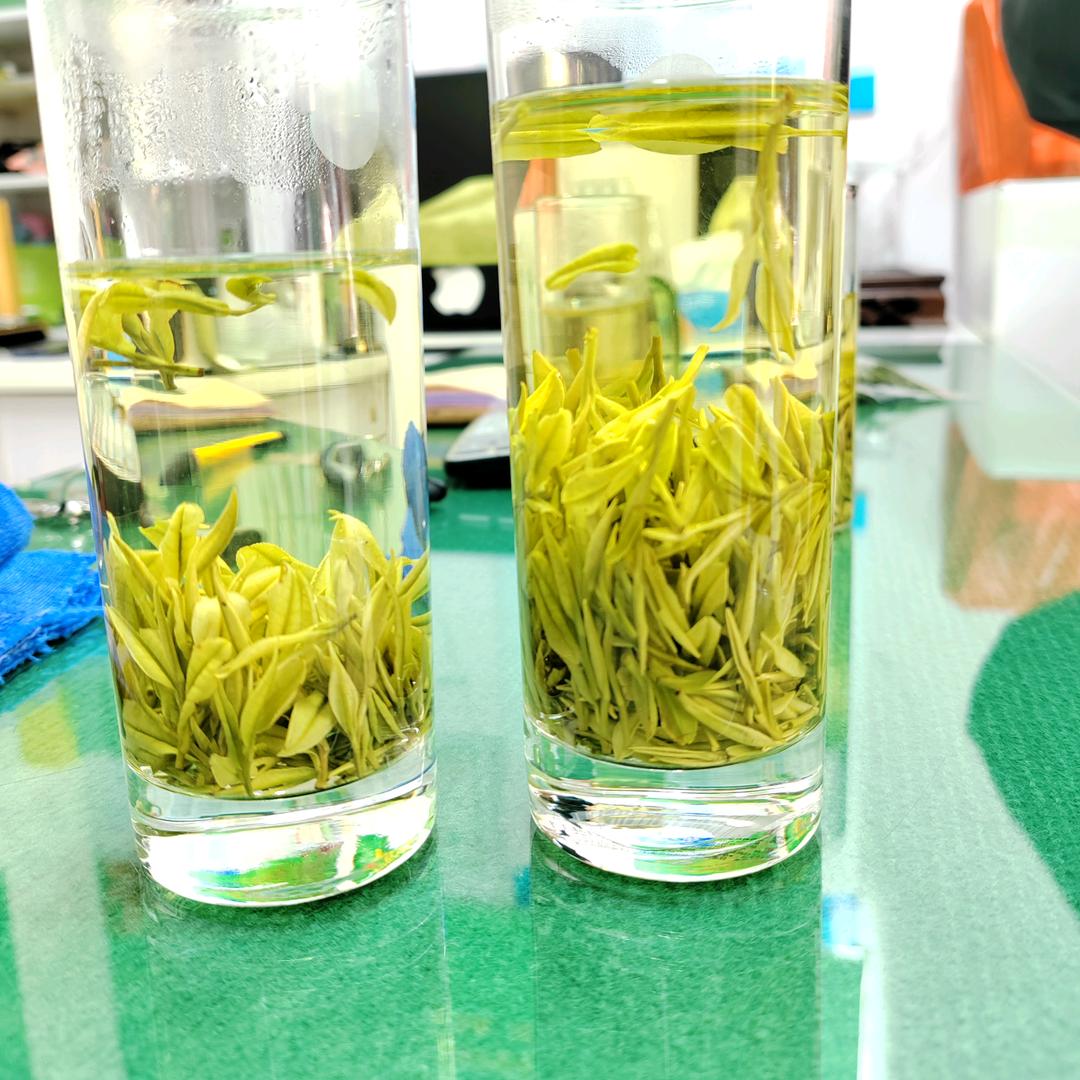漫时光