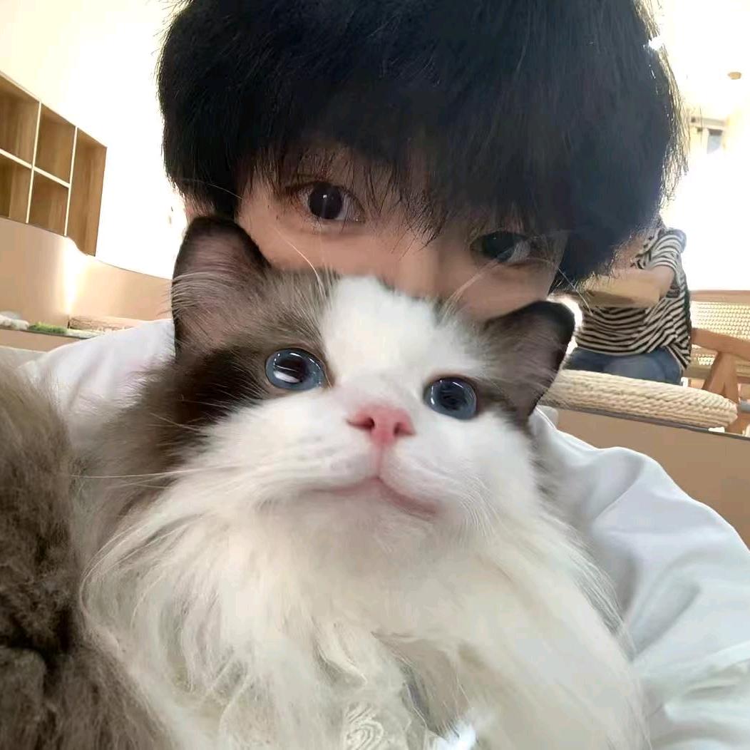 发光的太阳