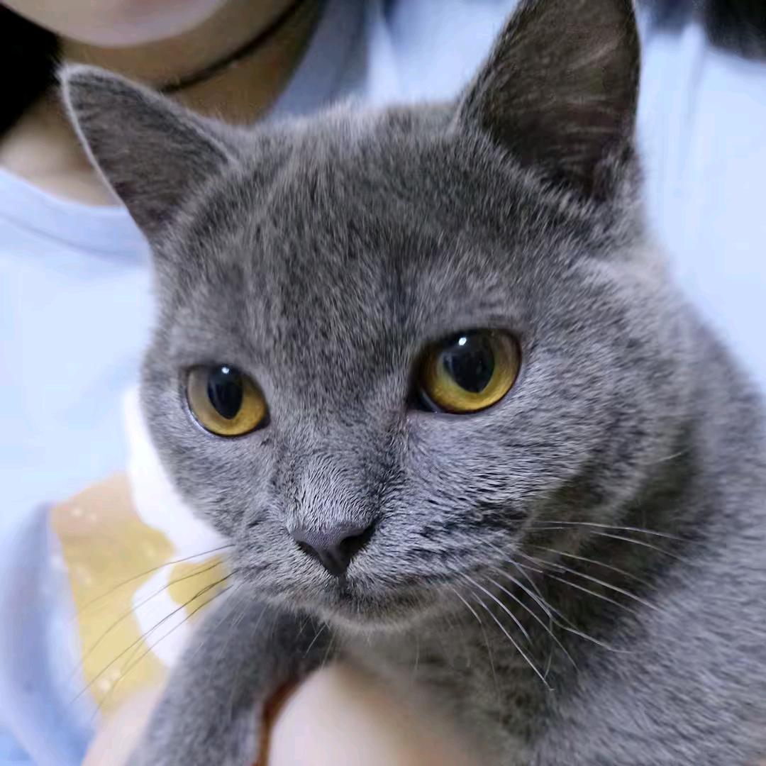 琴声不予