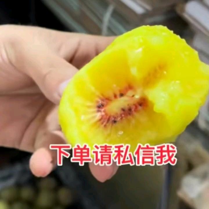 楠溪江鹤盛三毛农场红心猕猴桃