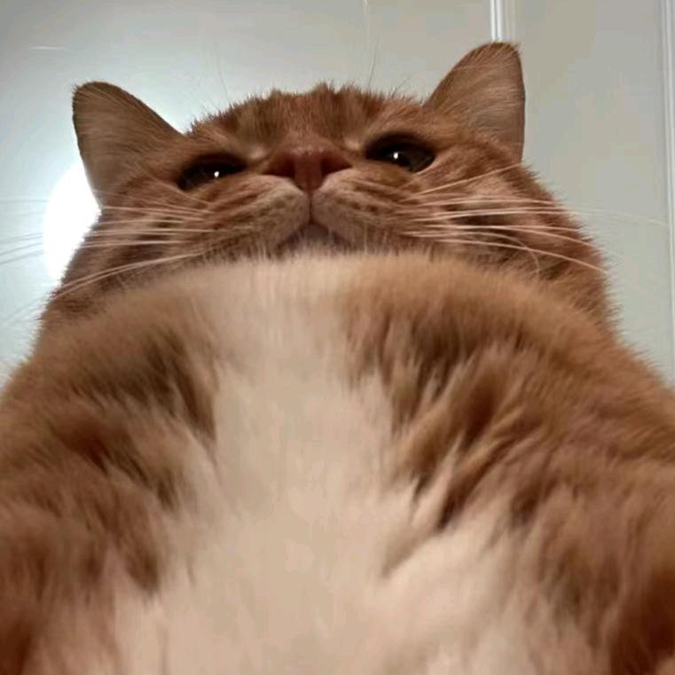 开心     -