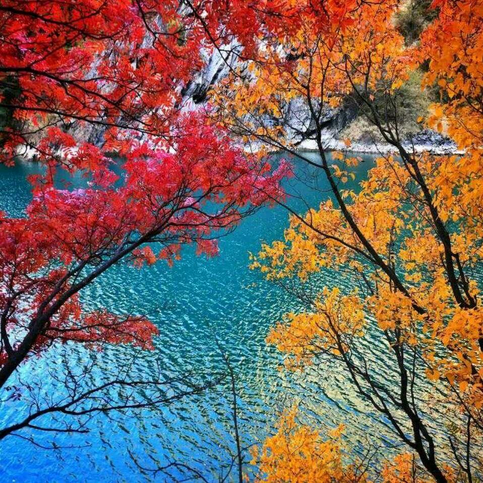 岁月静好❤ (ɔˆз(ˆ⌣ˆc)