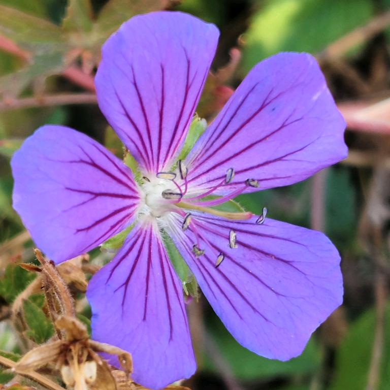 ོꦿ℘゜ꕥ⃝ᮨ້ۖ愿এ