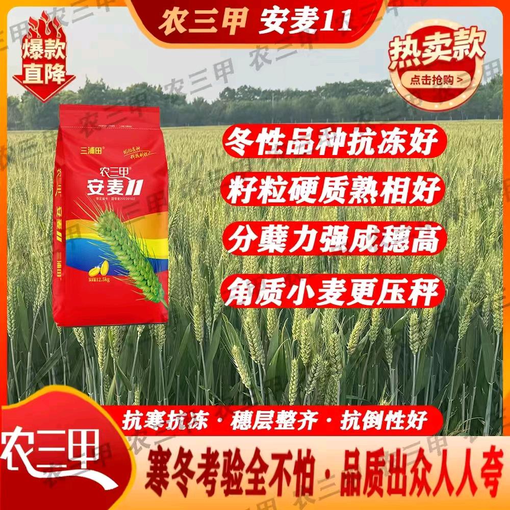 百姓种业《农三甲》