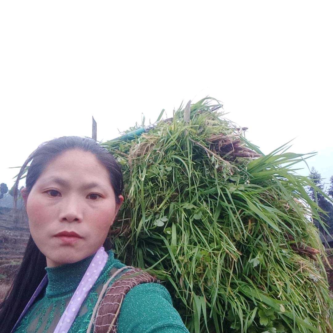 陈二妹