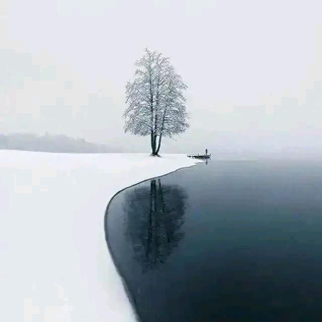 期待明天