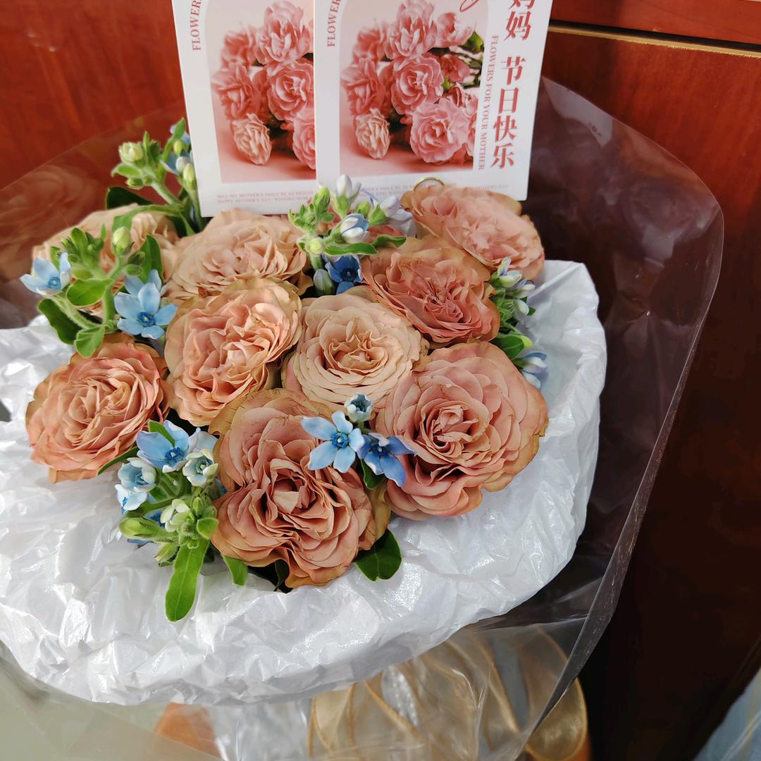 随我❤️意