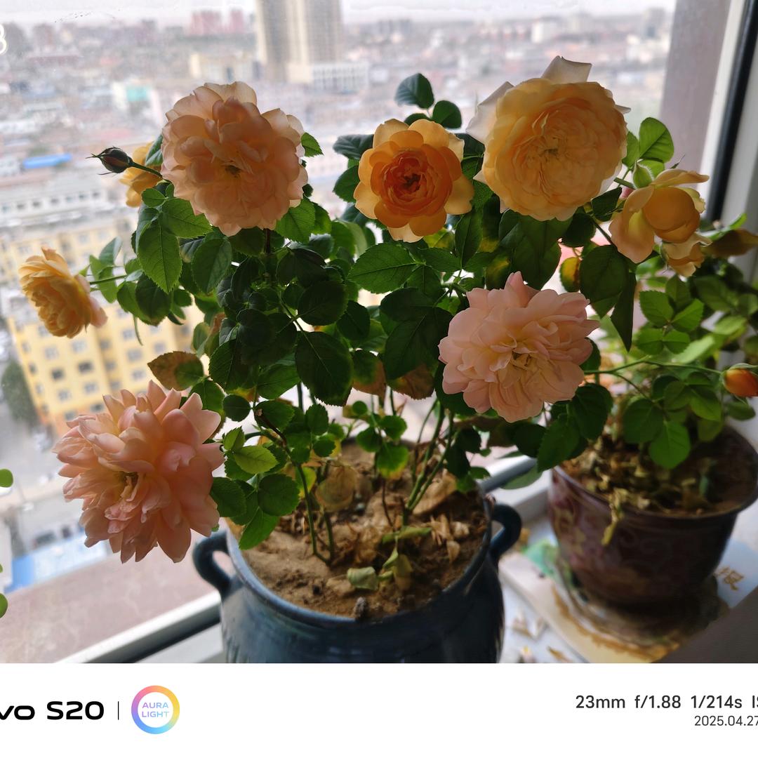 定边名优土特产