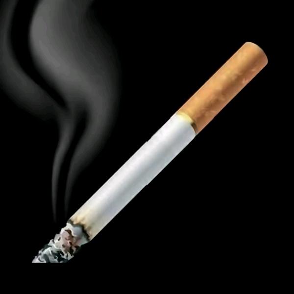 回不去的过往