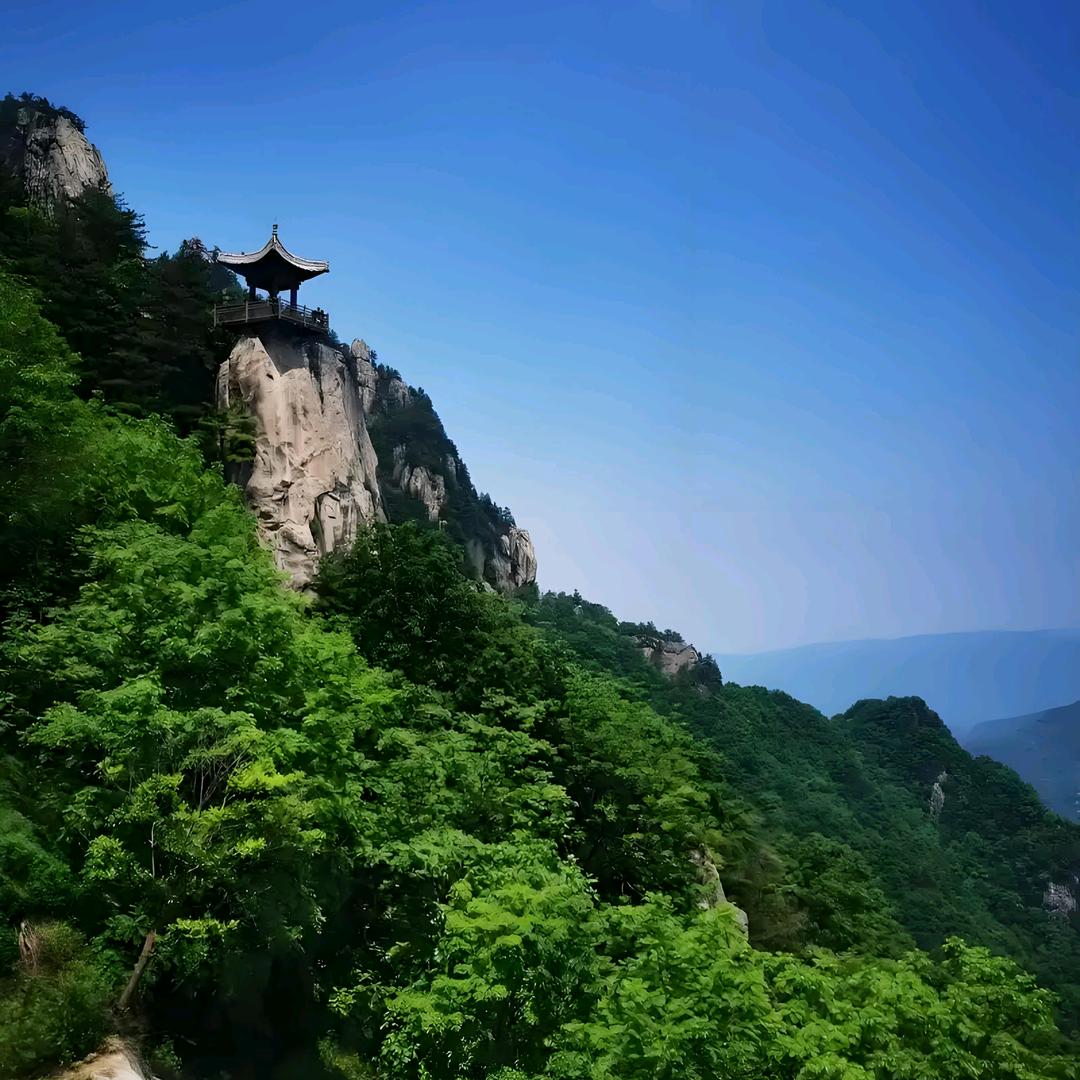 闆