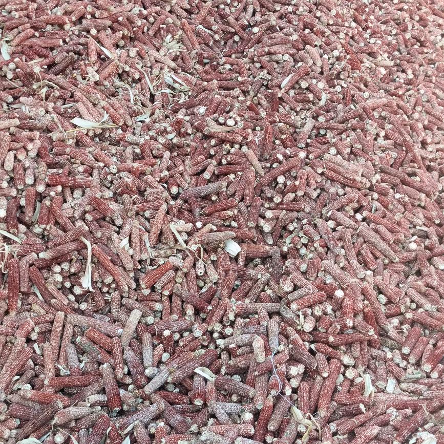 奋斗吧(๑><๑）青春