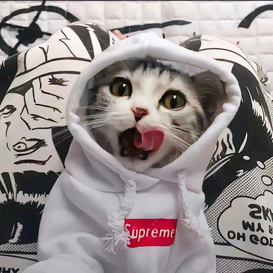 暮恸.