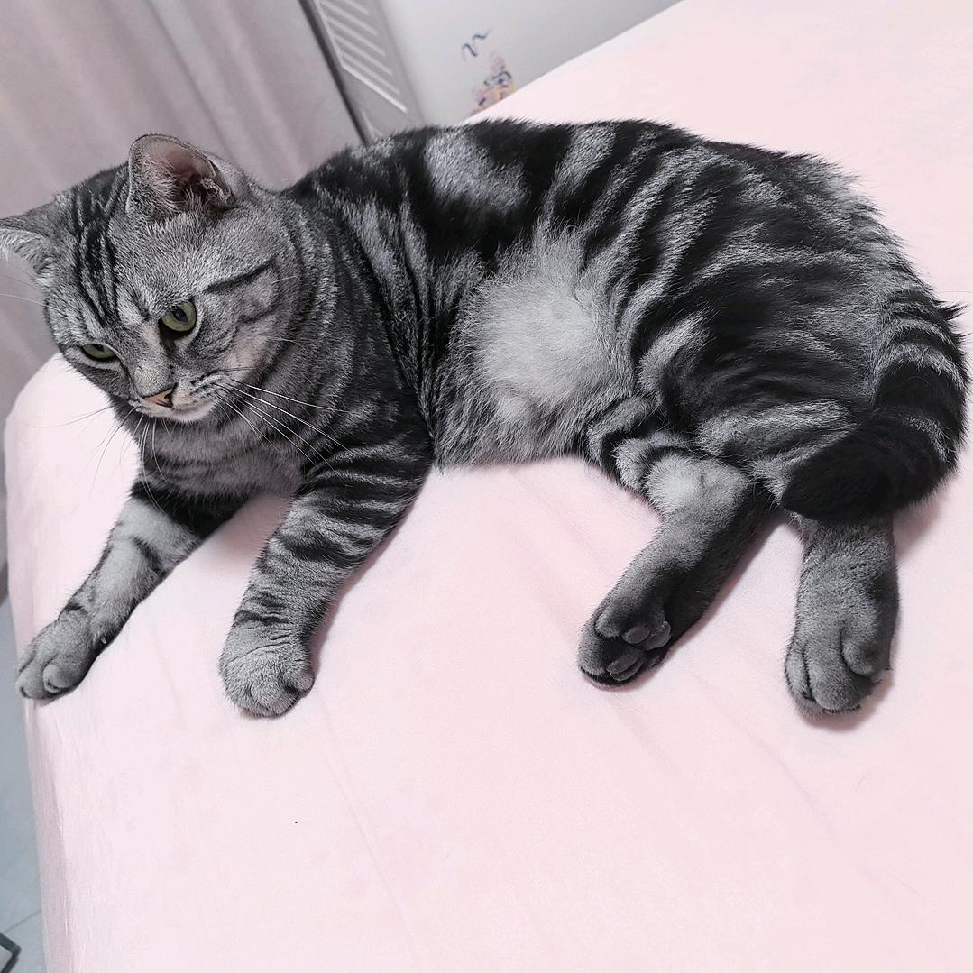 hello baby 🐰🐰💕