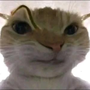 好鼠鼠自己跑刀吃饭