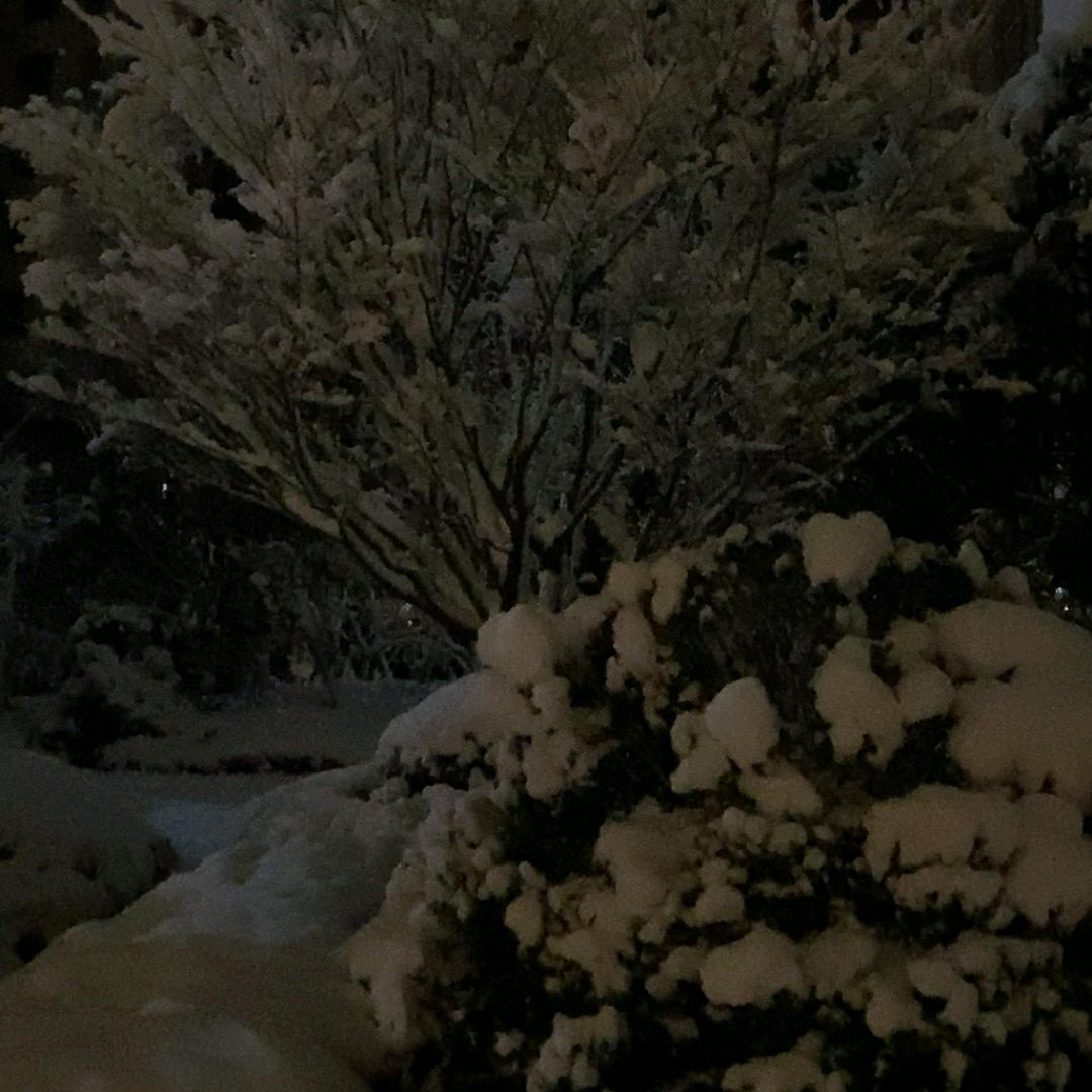 馨悦