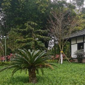 高济万盛双龙二店