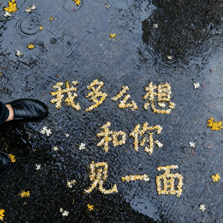 阿硕🐹