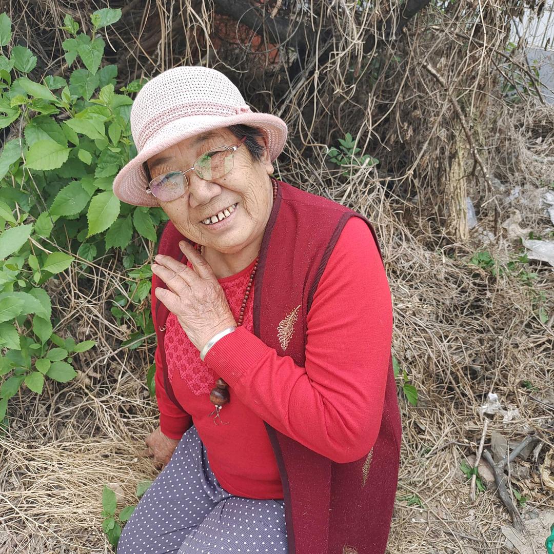 老福正能量平台