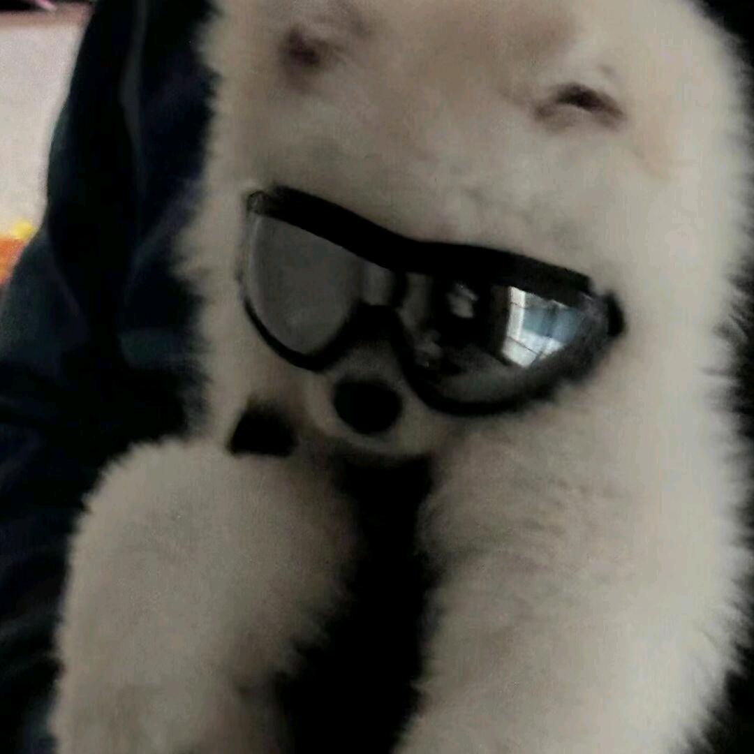 小🐏