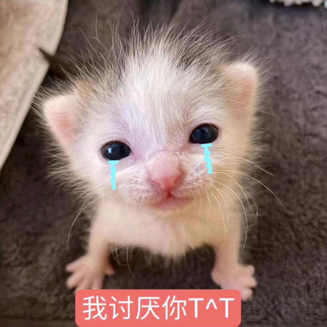 啵啵