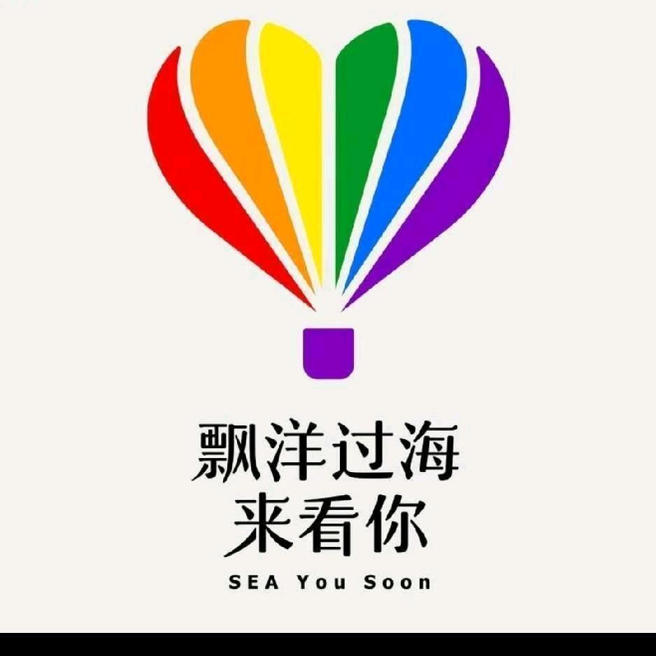 飘扬过海来看你