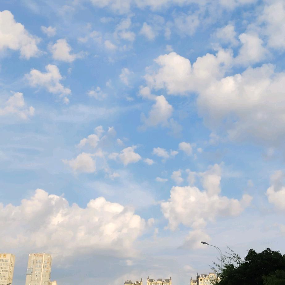 相濡以沫