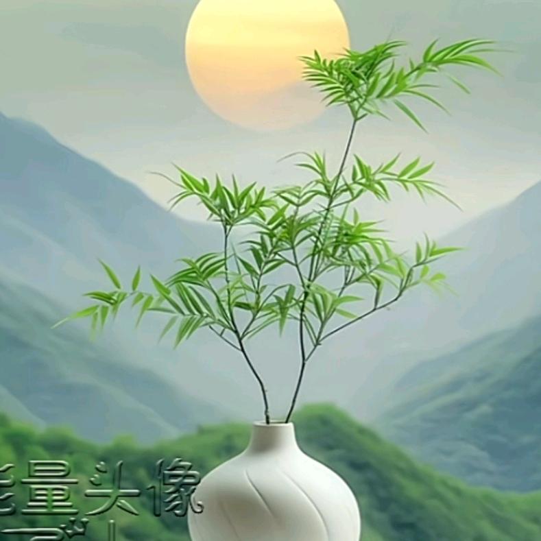 许君一世