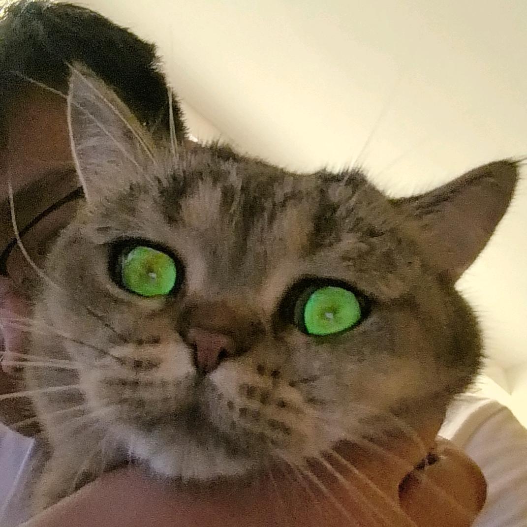 专门看老大分享的抖音