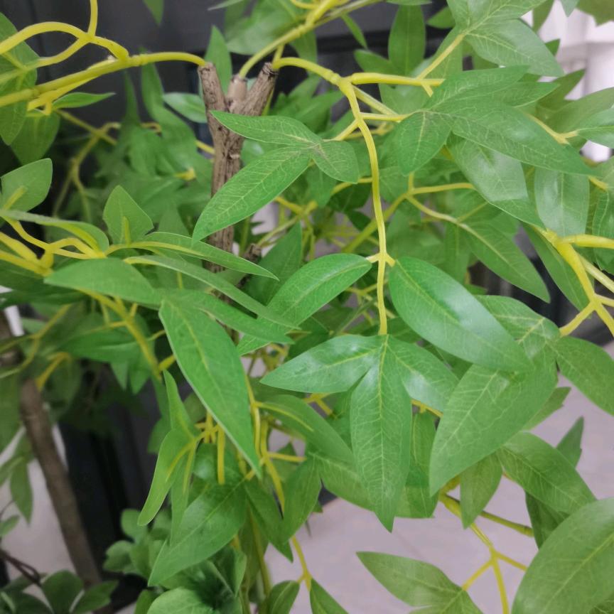 美董在收好货