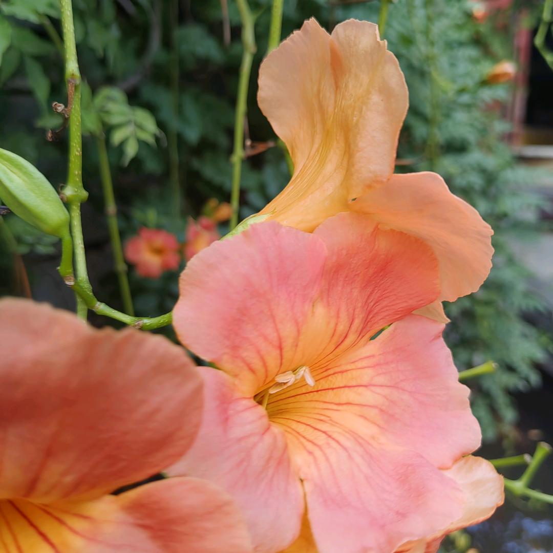 沁阳汇鑫装饰尚品宅配