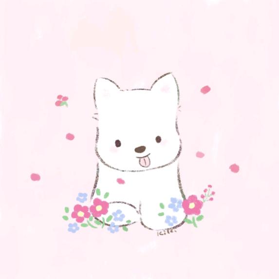 红色小烊🐑