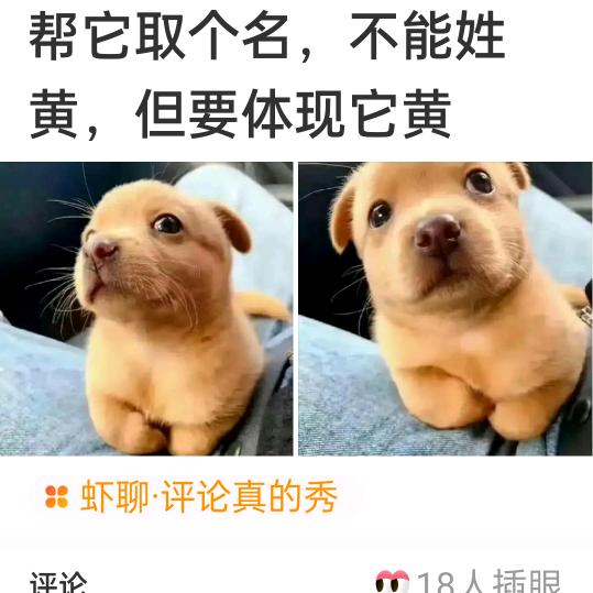 佳人的快乐时光