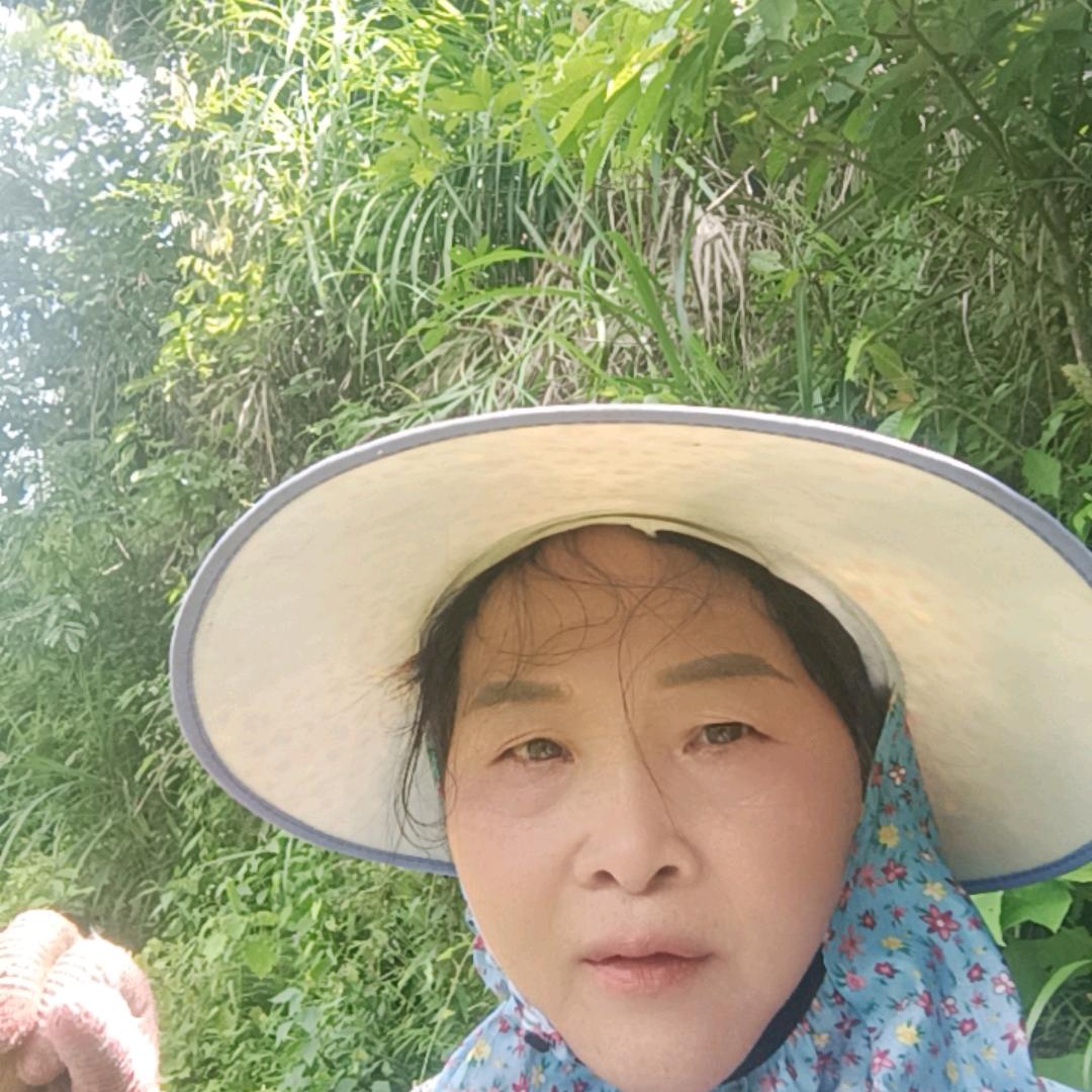 美好的记忆