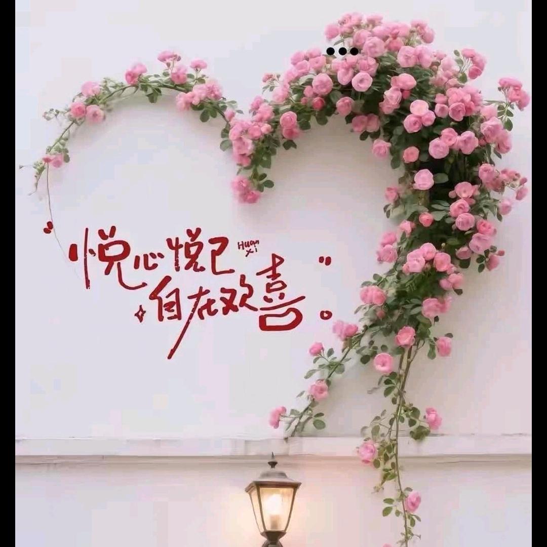 柒月.JULY