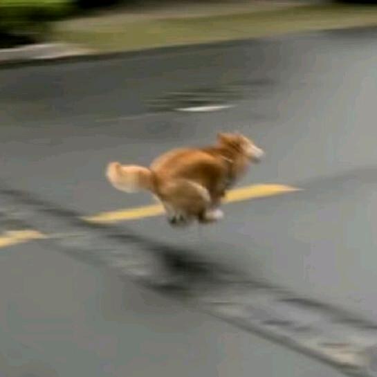 云曦满(￣_,￣ )